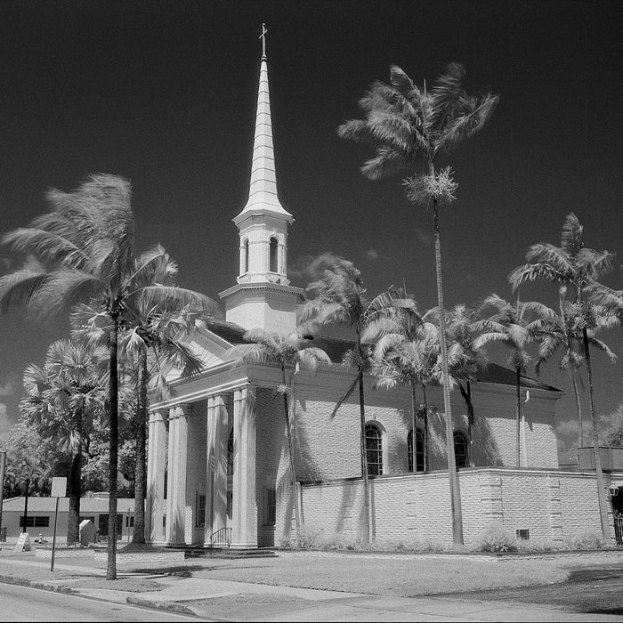 Shooting Infrared and Extended Red film