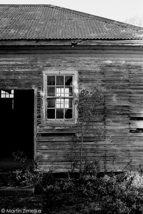 Rollei Ortho 25 Plus 120, ISO 25
