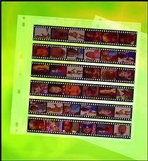 Clearfile 13B Negative Pages 35mm Archival Plus Pack of 25