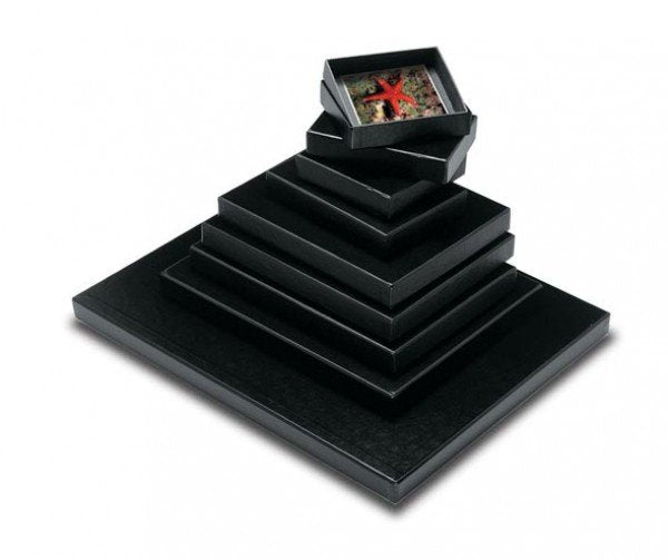 Clearfile Print Archival Box 16x20in