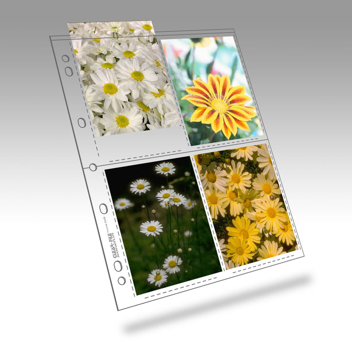 Clearfile 34B Negative Pages 4x5in Archival Plus (25)