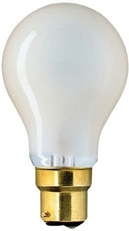 Lamps P2/1 BC Bayonet Photoflood lamp, 240V 500W