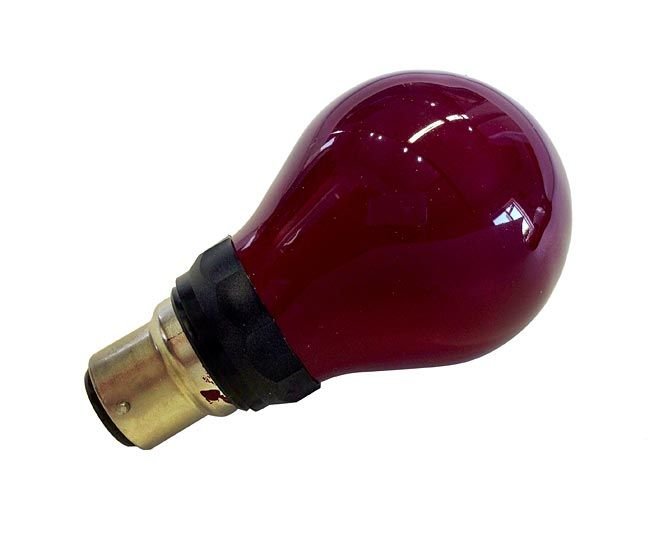 Lamps Safelight, Red, 240v 15w BC