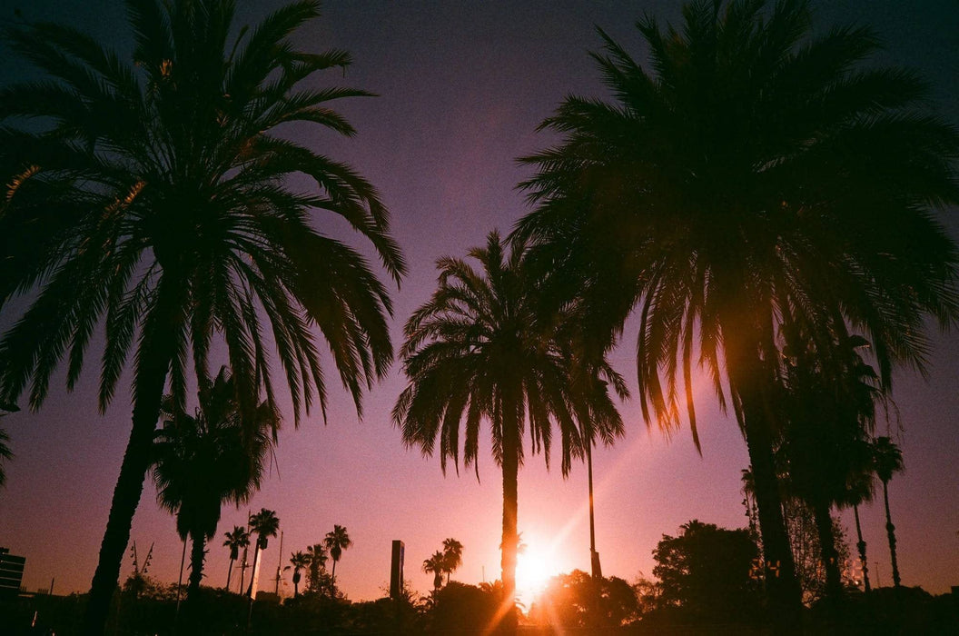 Dubblefilm Bubblegum 135-36