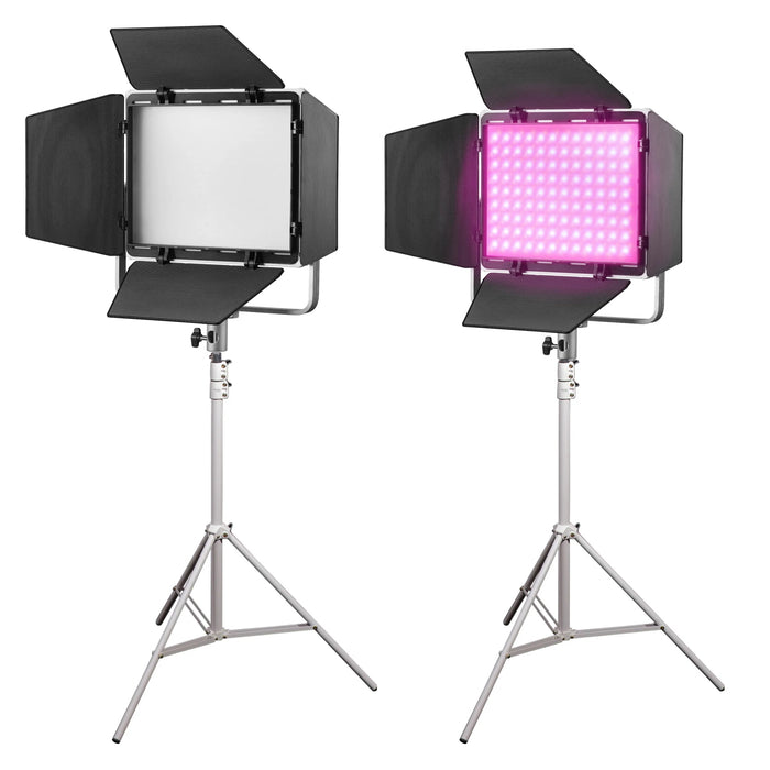 Godox Litemons LP400R Two Head Schools Kit