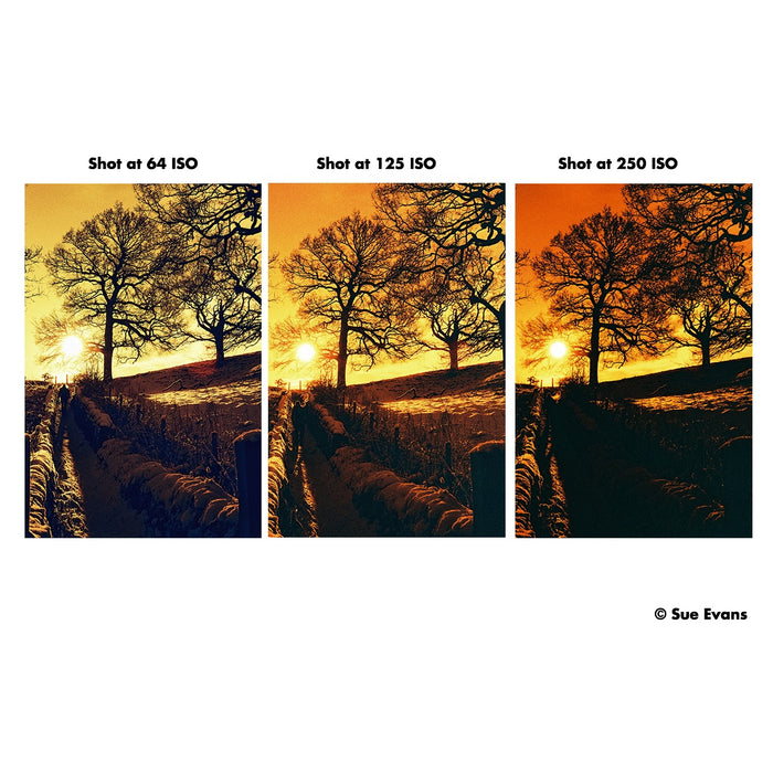 Harman RED C41 Redscale Film 125 135-36