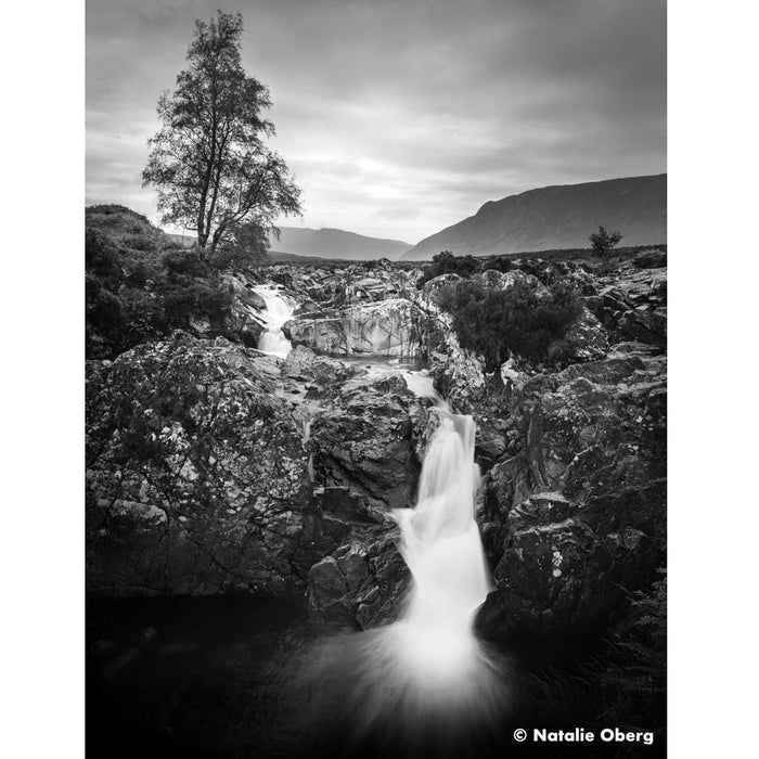 Ilford Ortho 80 Plus 120, ISO 80