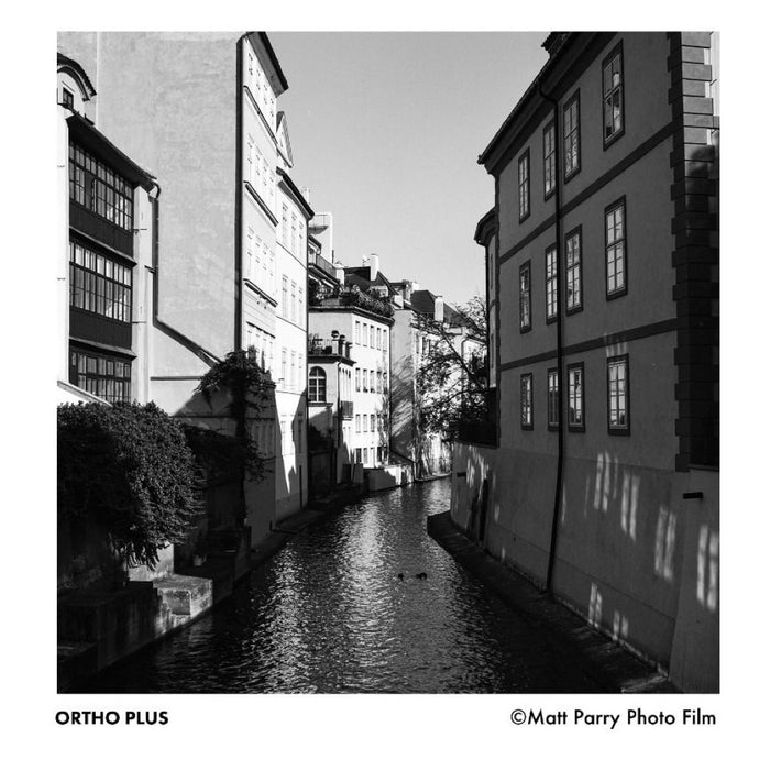 Ilford Ortho 80 Plus 120, ISO 80