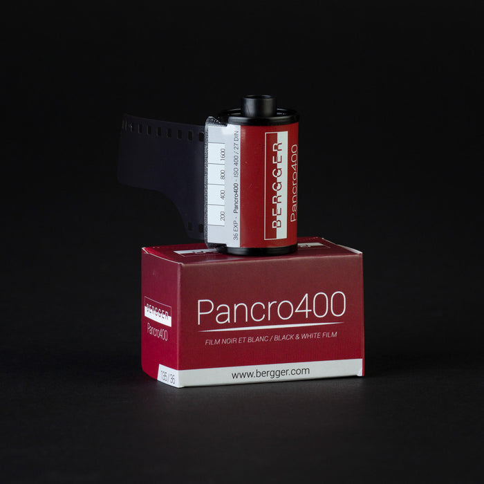 Bergger Pancro 400, 135-36, ISO 400