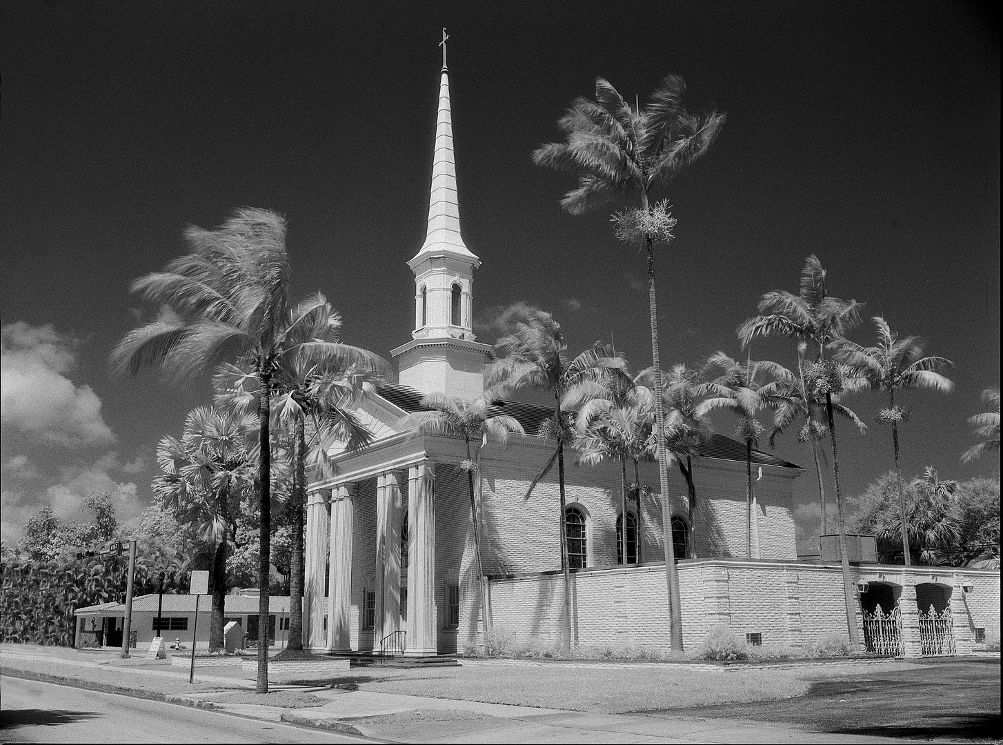 Shooting Infrared and Extended Red film