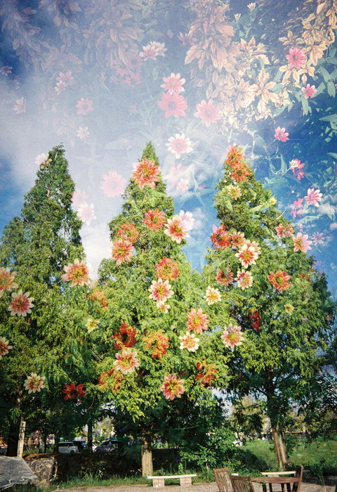 Kodak Snapic A1 35mm Film Camera Ivory White