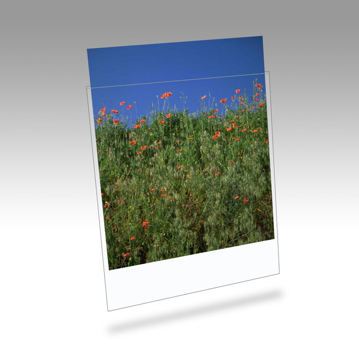 Clearfile 011B Print Protectors 12x18in Pack of 10