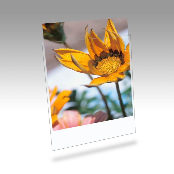 Clearfile 030B Print Protectors 8x10in Pack of 25