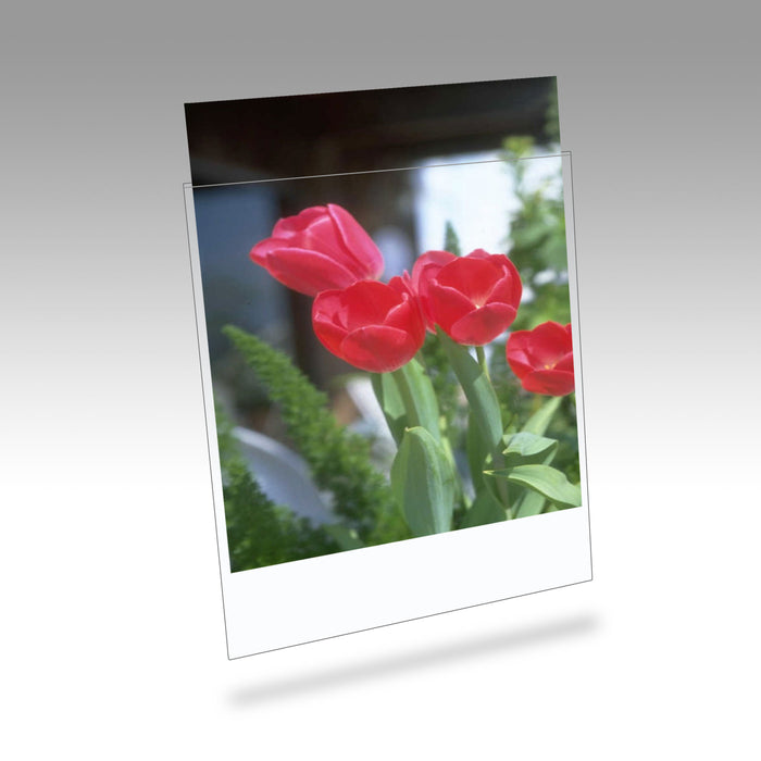 Clearfile 060B Print Protectors 16x20in Pack of 10