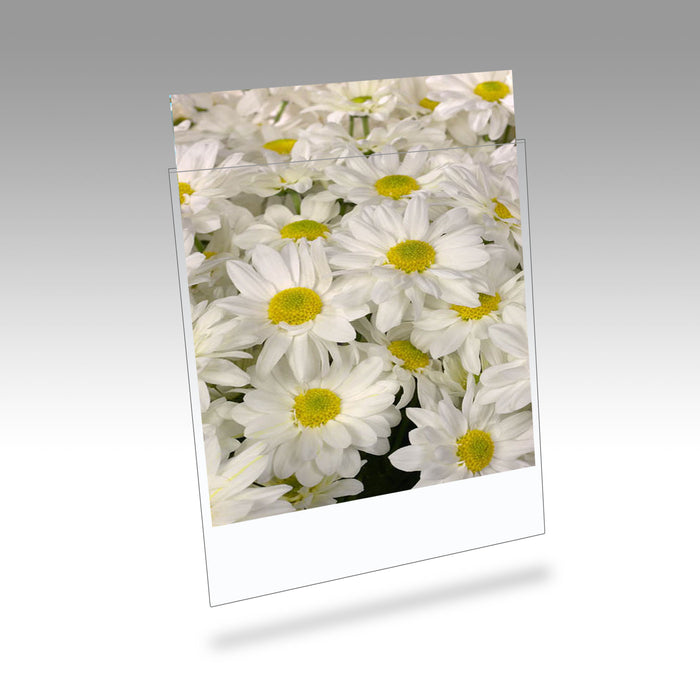 Clearfile 080B Print Protectors 9x12in (A4) Pack of 25