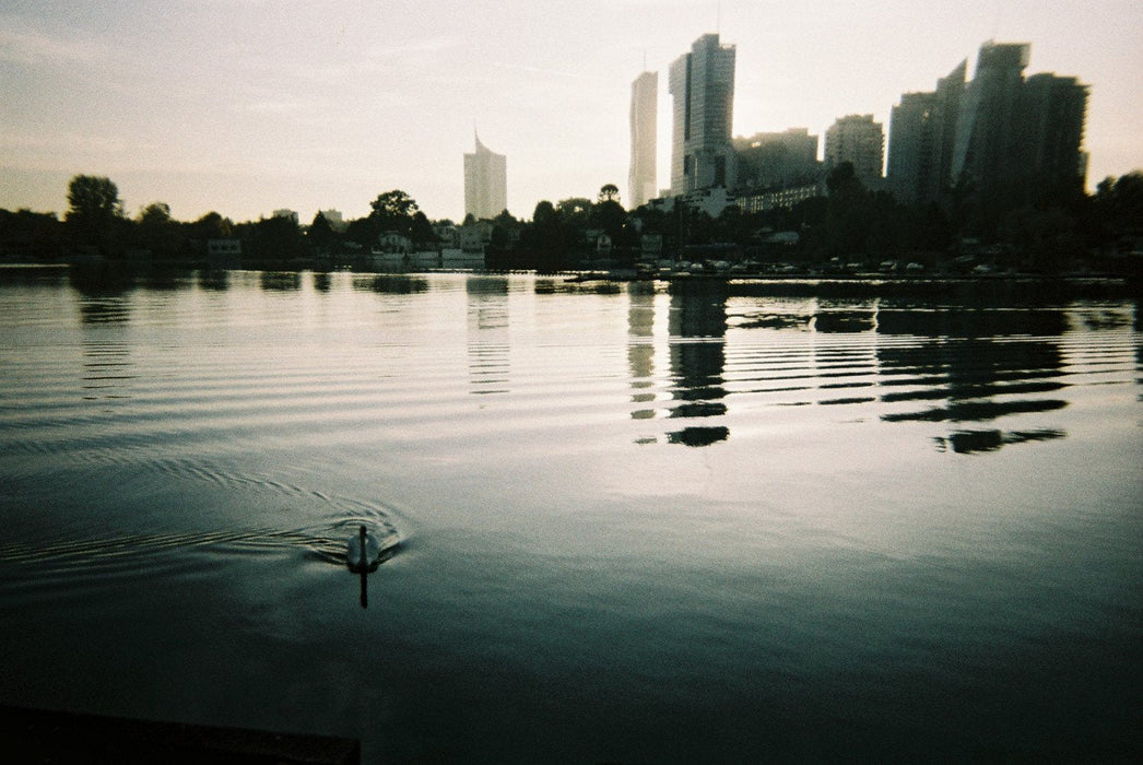 Lomography Metropolis Simple Use Camera (FILM EXPIRED)