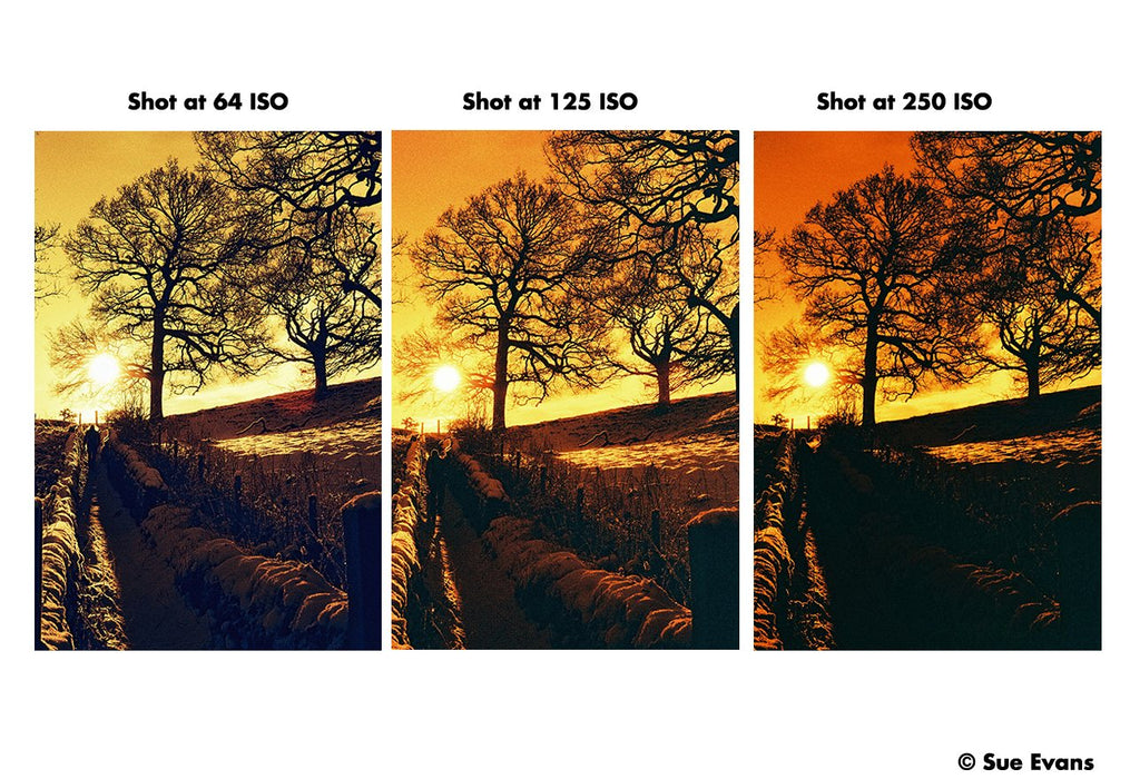 Harman RED C41 Redscale Film 125 135-36