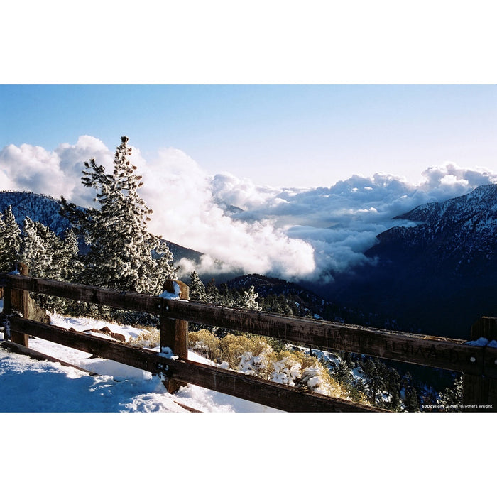 CineStill Xpro C-41 ISO 50 Daylight 135/36