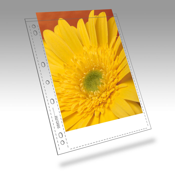 Clearfile 38B Print Pages 8x10in Archival Plus Pack of 25
