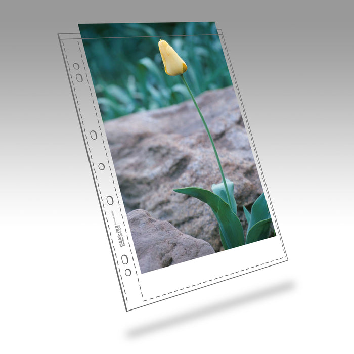 Clearfile 40B Print Pages 8x12in Archival Plus Pack of 25