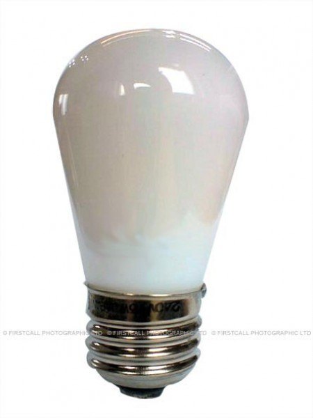 Lamps Premium ES Screw Enlarger Lamp, PH-1400 240v 75w