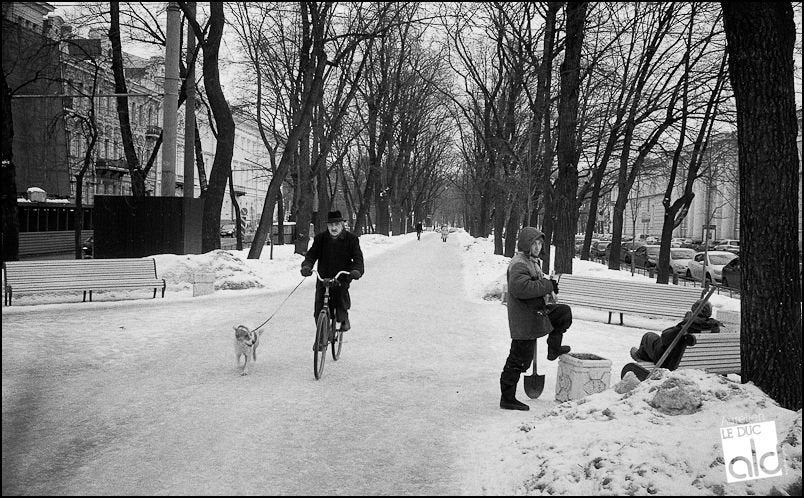Bergger Pancro 400, 135-36, ISO 400