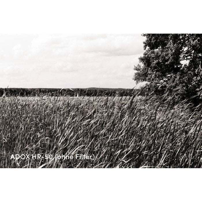 Adox HR-50, 135-36, ISO 50