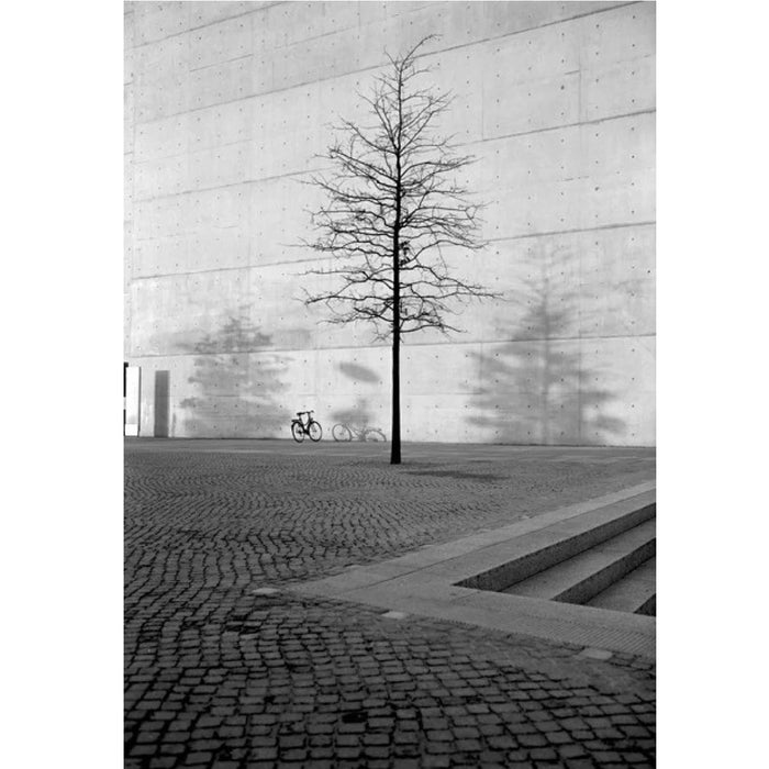 Adox CMS 20 II 35mm, ISO 20