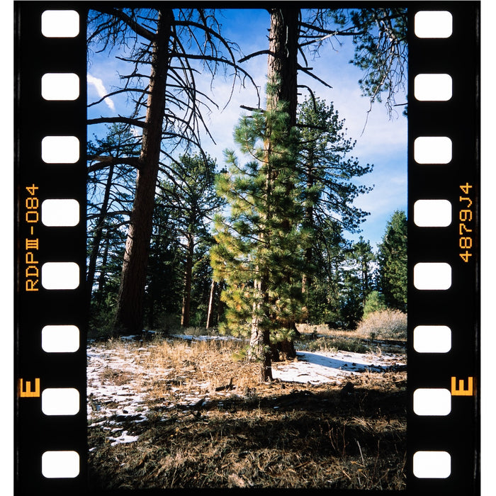 Negative Supply Enthusiast Kit for 35mm with Basic Riser MK3