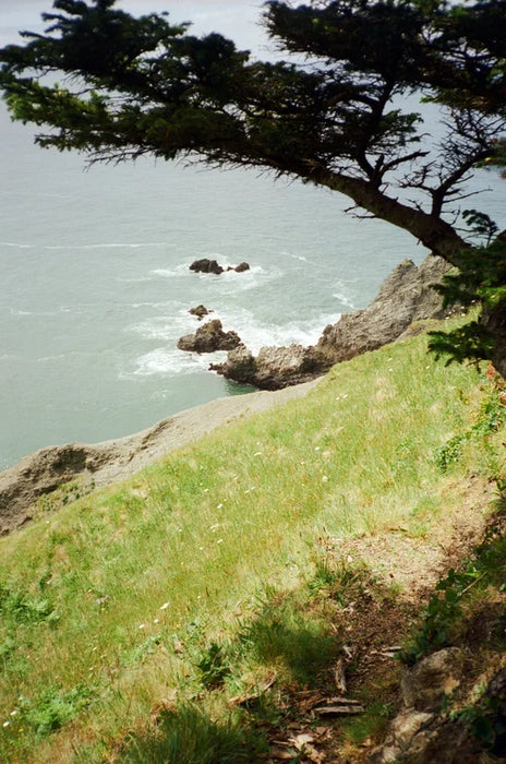 Candido 400 Classic Colour - 35mm 36Exp