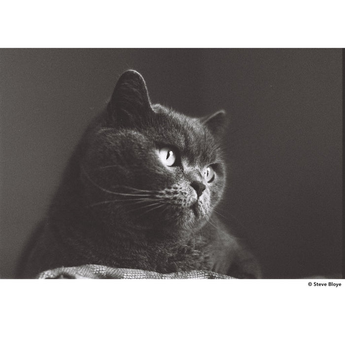 DragonFilm No. I Black and White Film ISO 100 135-24