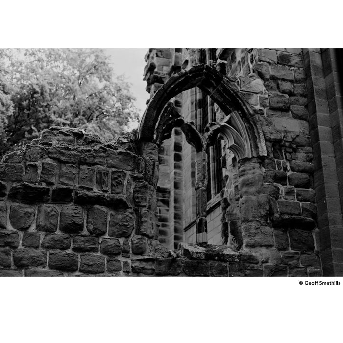 DragonFilm No. I Black and White Film ISO 100 135-24