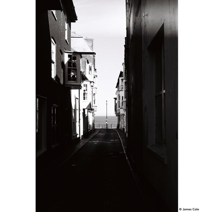 DragonFilm No. I Black and White Film ISO 100 135-24