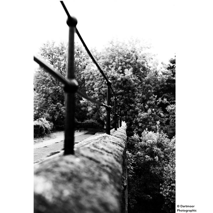 DragonFilm No. VI Black and White Film ISO 64 135-24