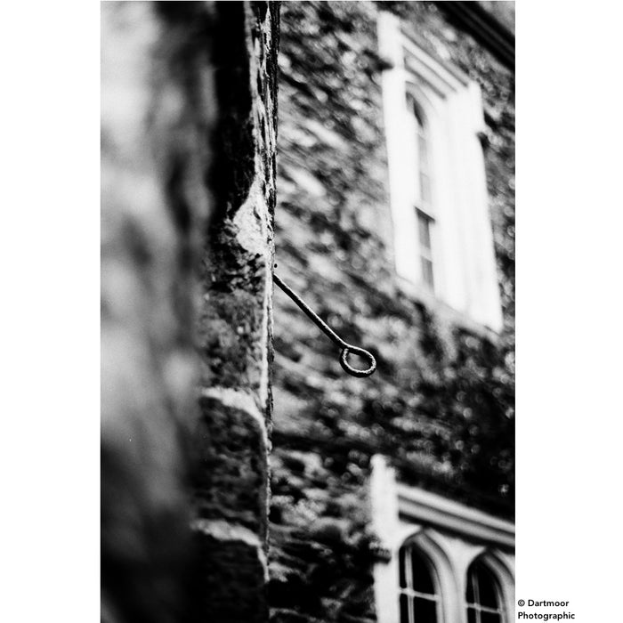 DragonFilm No. VI Black and White Film ISO 64 135-24