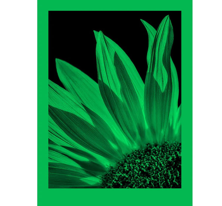 Foma Fomapastel MG 151 Green Semi-Glossy 8 x 10in 10 Sheets