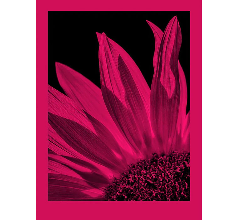 Foma Fomapastel MG 191 Magenta Semi-Glossy 8 x 10in 10 Sheets