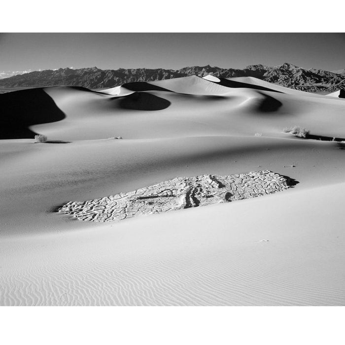 Rollei Infrared IR400 120, ISO 400