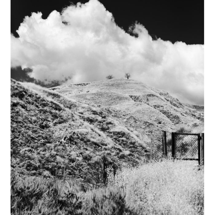 Rollei Infrared IR400 120, ISO 400