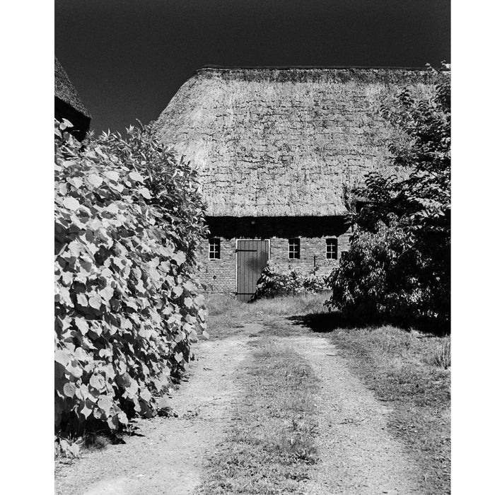 Rollei Infrared IR400 135-36, ISO 400