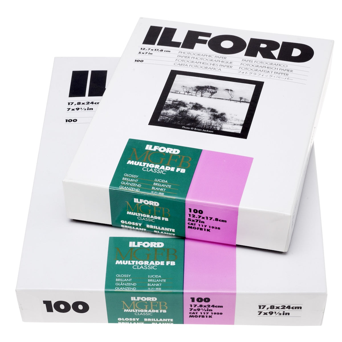 Papier Photo Ilford Multigrade IV FB – 11x14″ – Brillant – 2 Paquets De 10 Feuilles – Neuf