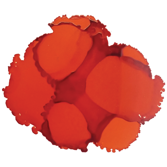 Jacquard Pinata Ink 14.8ml, No 1005, Calabaza Orange