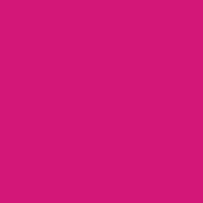 Jacquard Pinata Ink 14.8ml, No 1011, Senorita Magenta