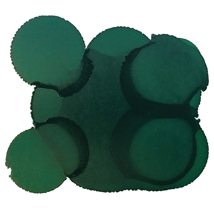 Jacquard Pinata Ink 14.8ml, No 1023, Rainforest Green