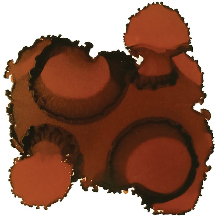 Jacquard Pinata Ink 14.8ml, No 1025, Burro Brown