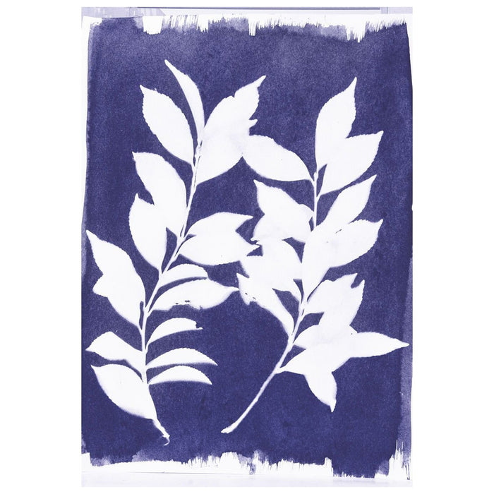 Jacquard Cyanotype Class Pack - To teach up to 30 students