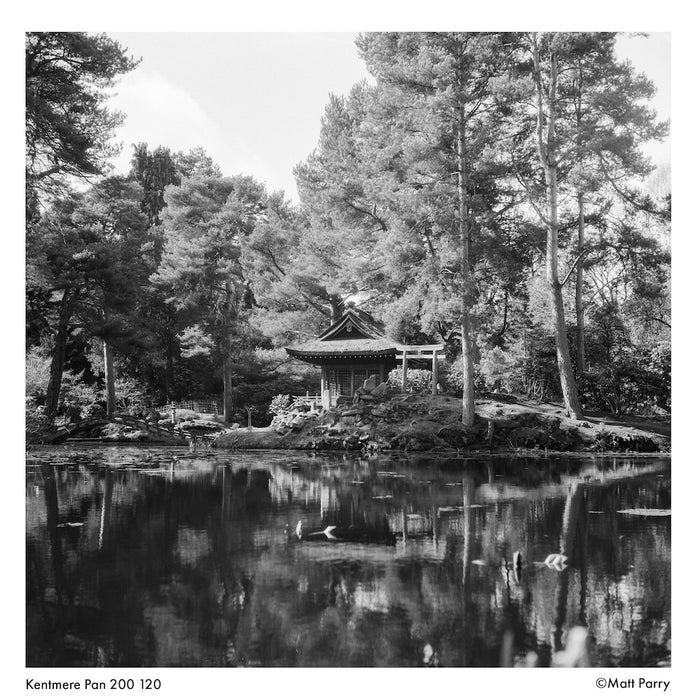Kentmere PAN 200 Black and White Film ISO 200 120
