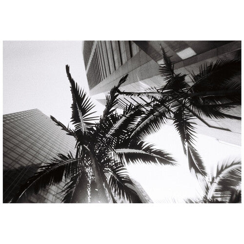Lomography Black and White Simple Use Camera