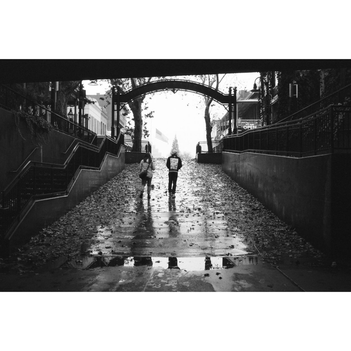 Lomography Lady Grey, ISO 400. 135-36, Pack of 3