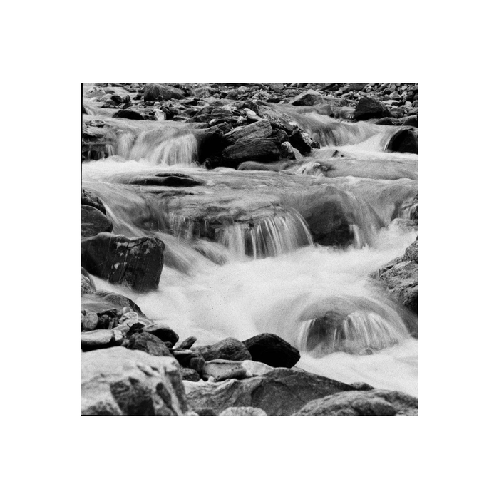 Lomography Lady Grey, ISO 400. 120, Pack of 3